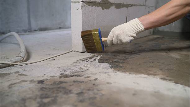 SJ Waterproofing Pros Waterproofing coverage map for Lakeland, MN and surrounding area